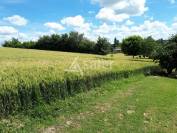 Vegetable farm  Lot-et-Garonne
