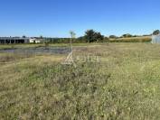 Vegetable farm  Lot-et-Garonne