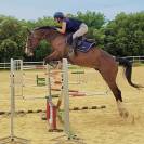 Valorisation / Dépôt vente poneys et chevaux 
