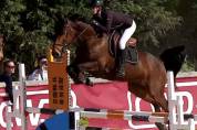 Valorisation / Dépôt vente poneys et chevaux 