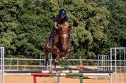 Valorisation / Dépôt vente poneys et chevaux 