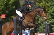 Valorisation / Dépôt vente poneys et chevaux 