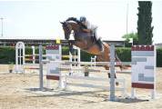 Arko, sella Italiano 2012!