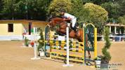 Arko, sella Italiano 2012!