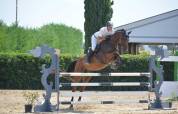 Arko, sella Italiano 2012!
