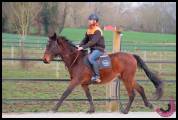 Cavalier de débourrage, rééducation et CSO