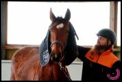 Cavalier de débourrage, rééducation et CSO