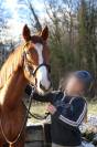 Ibelia Rose jument de 7ans 