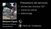 Pension chevaux 