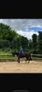 Kindy Bere, jument pur sang, 5 ans, 1m70 