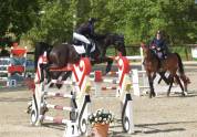 Cavalla 8 anni in vendita 