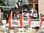 cavallo tedesco del 2012