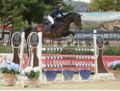 cavallo tedesco del 2012