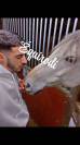 Sofien 36 ans Palefrenier pour un poste logé 