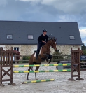 Jument 5 ans SF - Souche sport et élevage