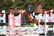 Pony da concorso 