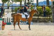 Pony da concorso 