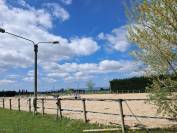 Box + paddock attenant