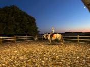 Pure Race Espagnole 10 ans entier polyvent
