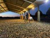 Pure Race Espagnole 10 ans entier polyvent