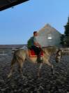 Pure Race Espagnole 10 ans entier polyvent