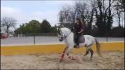 Hengst PRE Puur Ras Spaans Te koop 2015 Schimmel ,  HESPERIO