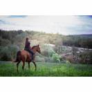 Photo Faune - Photographe animalier dans le Lot 