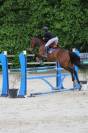 Cheval CSO / Vente