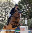 KWPN , castrone 7 anni da Emerald van ’t Ruytershof.