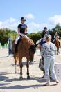 Super jument de concours amateur 