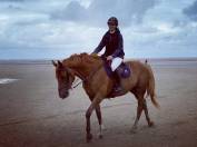 Super jument de concours amateur 