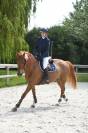 Super jument de concours amateur 