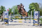 Magnifique 6 ans