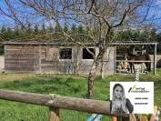 PROPRIETE EQUESTRE SUR 2.5 HECTARES