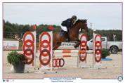 Poney D à CONFIER