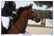 Poney D à CONFIER