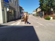 Jango, hongre trait Comtois PP