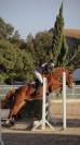 Ponette D de 5 ans