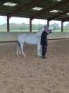 DONA, Jument  de loisirs, lusitanienne, 12 ans