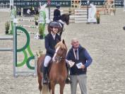 Stallion French Saddle Pony For sale 2017 Chesnut