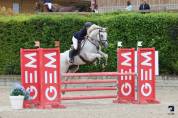 Bel hongre 12 ans CSO par Président