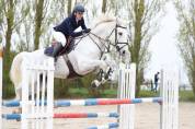 Bel hongre 12 ans CSO par Président
