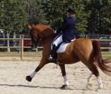 Istruttore di equitazione