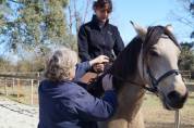Istruttore di equitazione