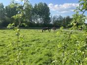 Écurie de propriétaires proche Toucy (89130)