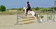 Poney polyvalent 