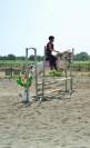 Poney polyvalent 