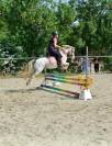 Poney polyvalent 