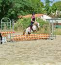 Poney polyvalent 