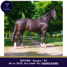 Magnifique 3 ans, épais très chic déjà 1m64
